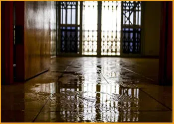 Hallandale Beach Restoration Company Hallandale Beach, FL 954-379-2883