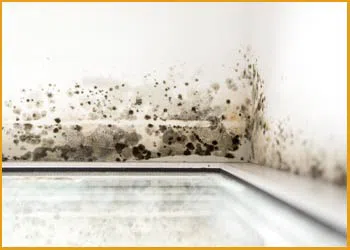 Hallandale Beach Restoration Company Hallandale Beach, FL 954-379-2883