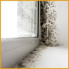 Hallandale Beach Restoration Company Hallandale Beach, FL 954-379-2883