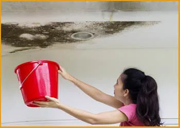 Hallandale Beach Restoration Company Hallandale Beach, FL 954-379-2883